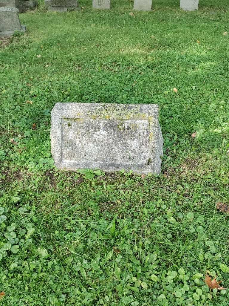 Theresa Burkhardt Eckel's grave. Photo 2