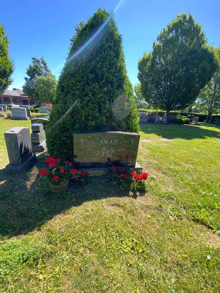 Alfred J. Awad Junior's grave. Photo 1