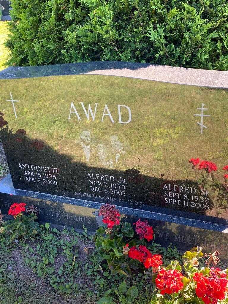 Alfred J. Awad Junior's grave. Photo 3