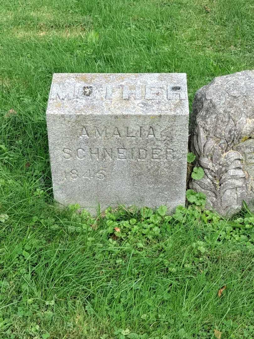 Amalia Schneider's grave. Photo 3