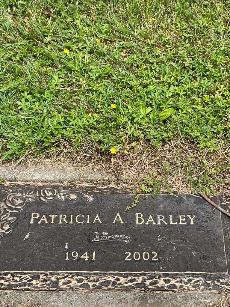 Patricia A. Barley's grave. Photo 3