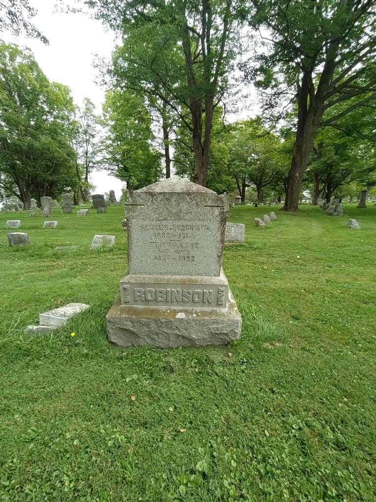 Arthur J. Robinson's grave. Photo 1