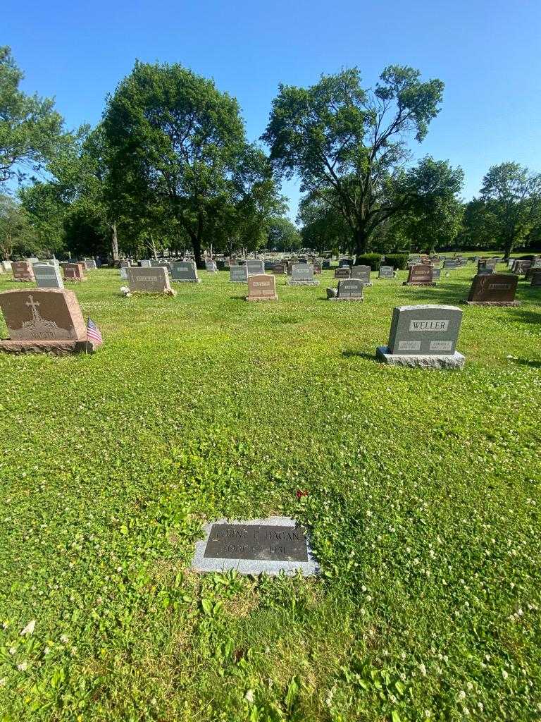 Lorne C. Hagan's grave. Photo 1