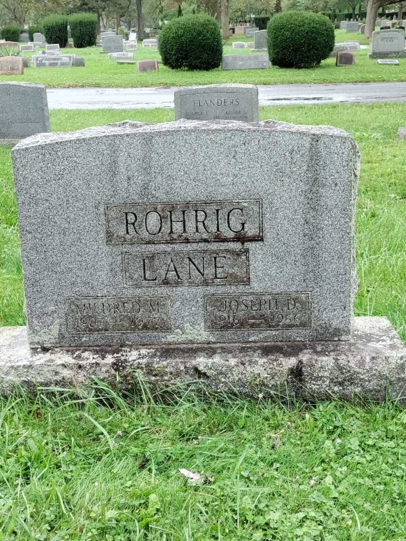 Mildred Lane's grave. Photo 3