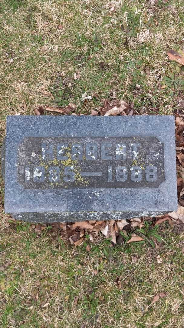 Herbert King's grave. Photo 3