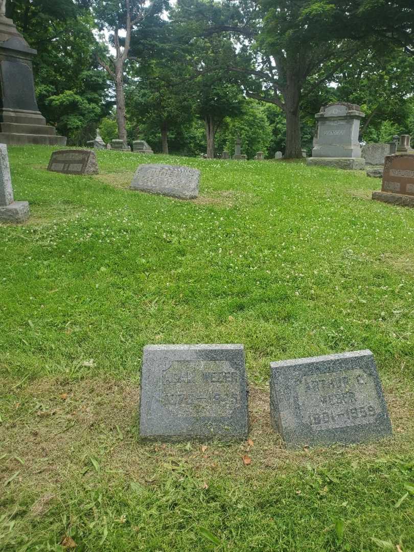 Adam Weber's grave. Photo 1