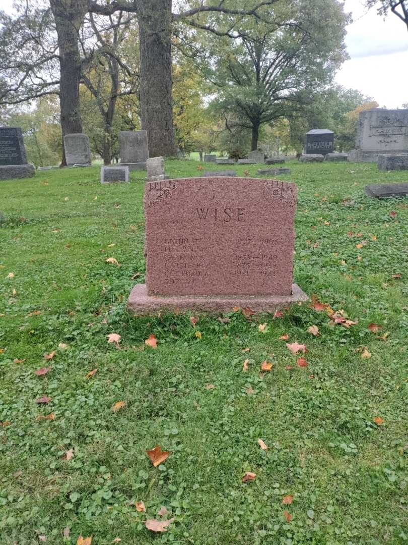 Clifford A. Wise's grave. Photo 2