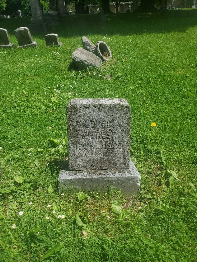 Mildred A. Ziegler's grave. Photo 3