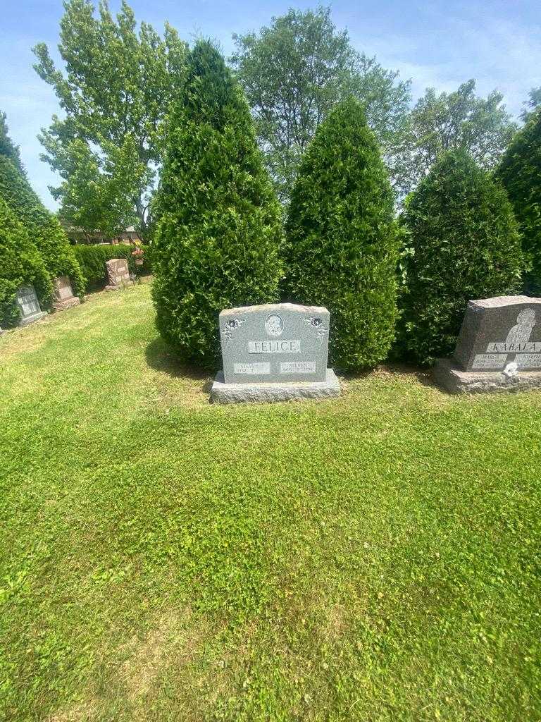 Steven Felice's grave. Photo 1