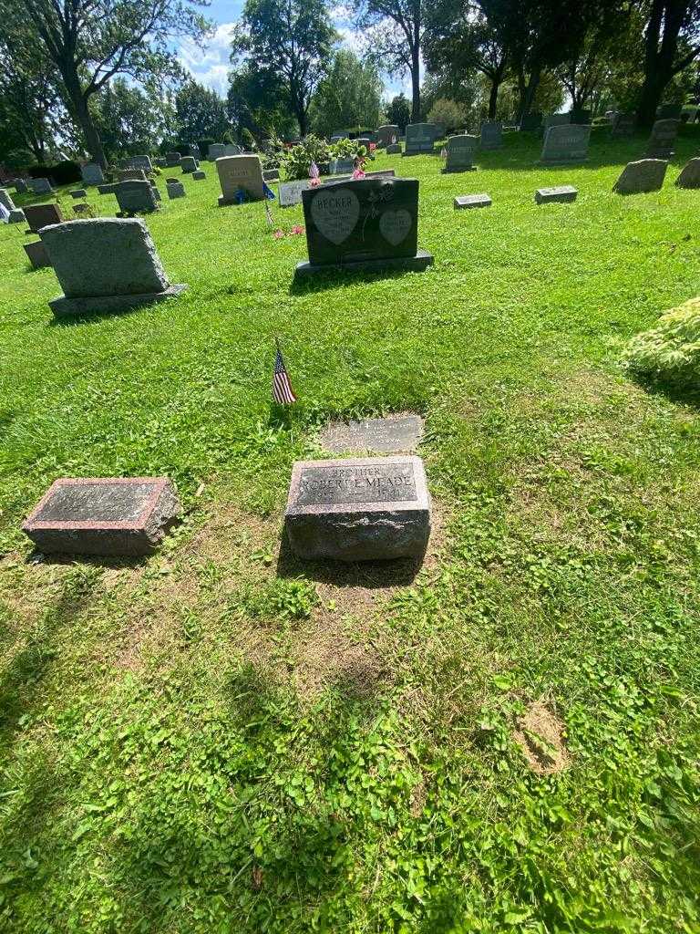 Robert E. Meade's grave. Photo 1