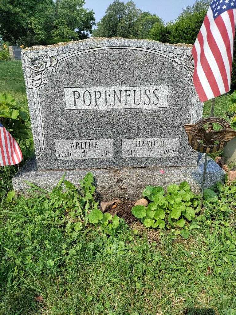 Harold Popenfuss's grave. Photo 1