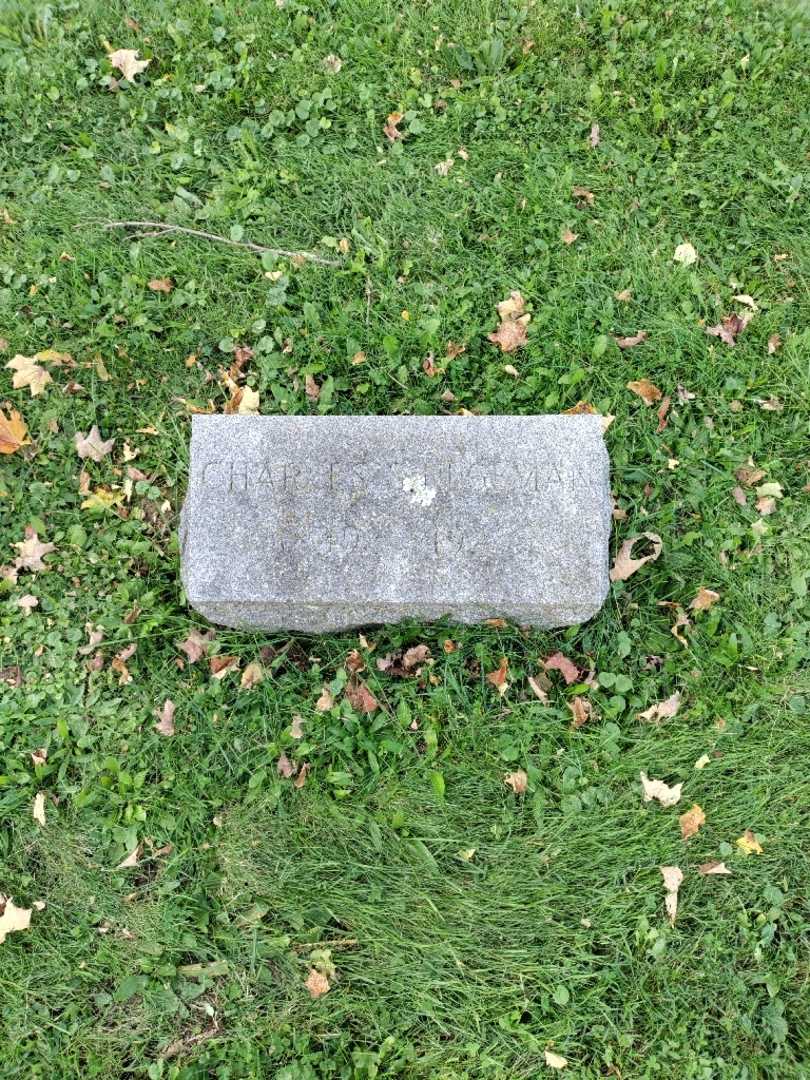 Charles S. Hegeman's grave. Photo 2