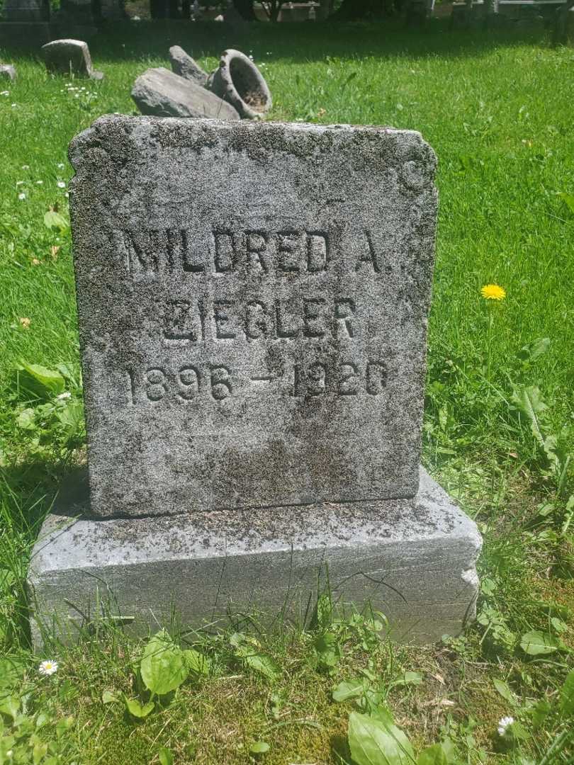 Mildred A. Ziegler's grave. Photo 4
