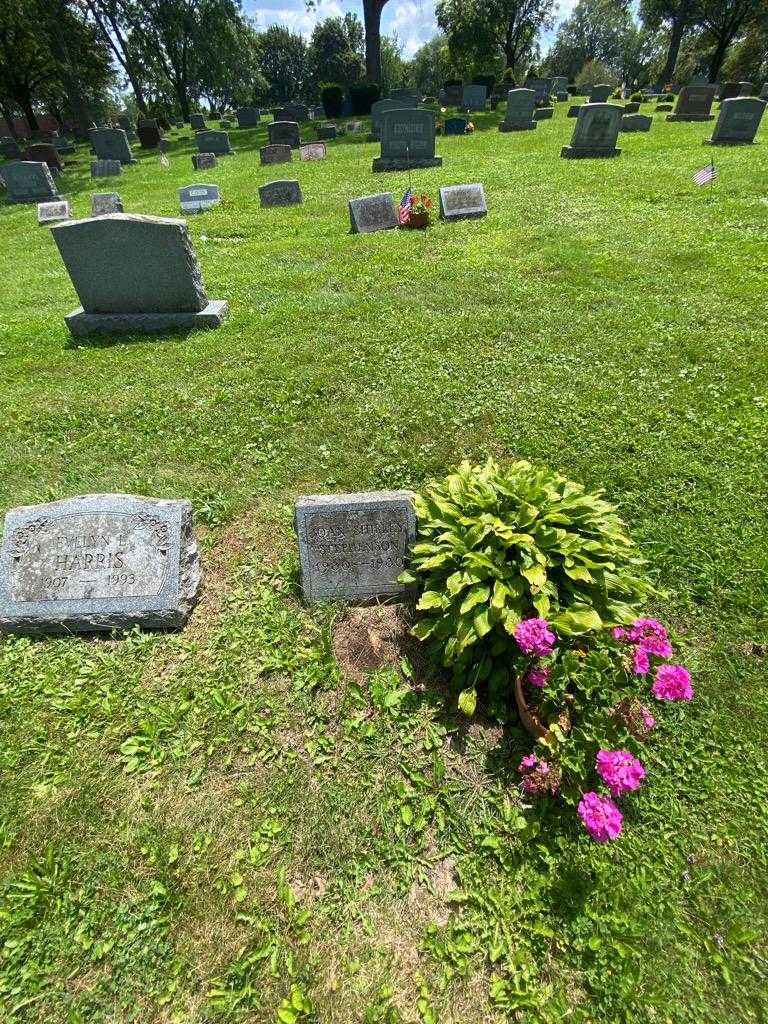 Joan Shirley Stephenson's grave. Photo 1