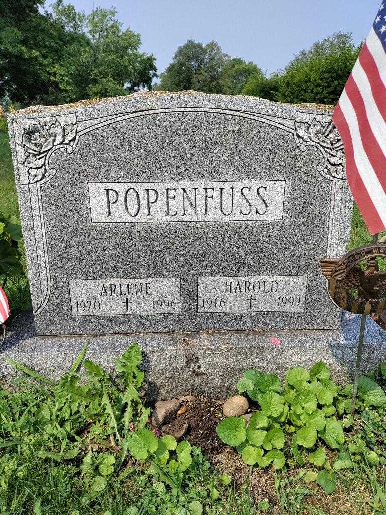 Arlene Popenfuss's grave. Photo 2