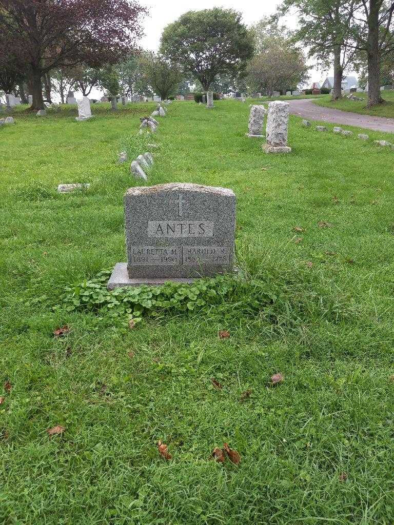 Harold R. Antes's grave. Photo 1