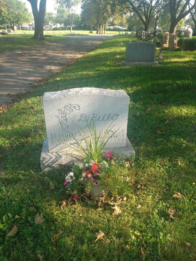 James DiBello's grave. Photo 1
