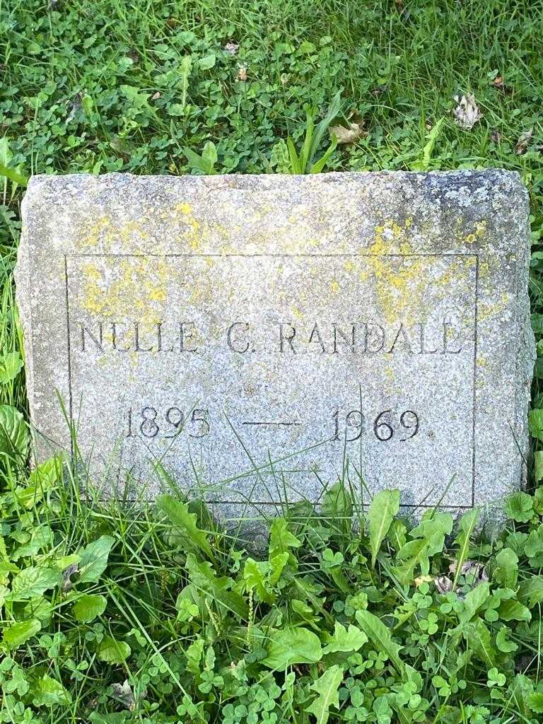 Nelle C. Randall's grave. Photo 3