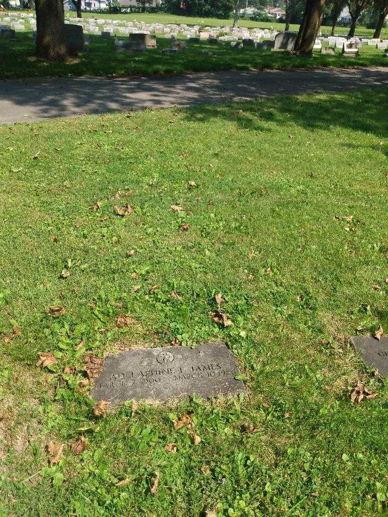 Adepaphine F. James's grave. Photo 1