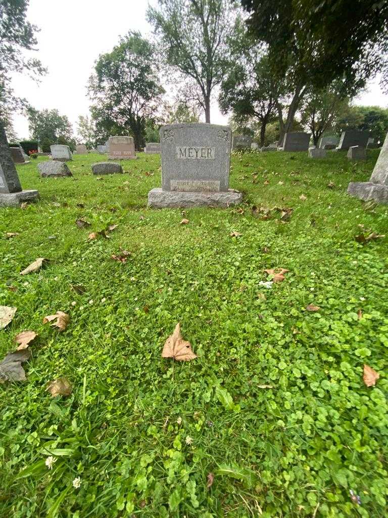 Dorothy Meyer's grave. Photo 1