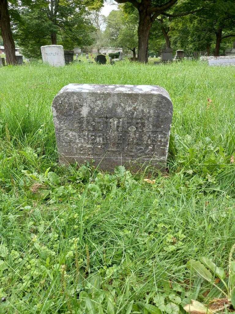 Katherine White's grave. Photo 2