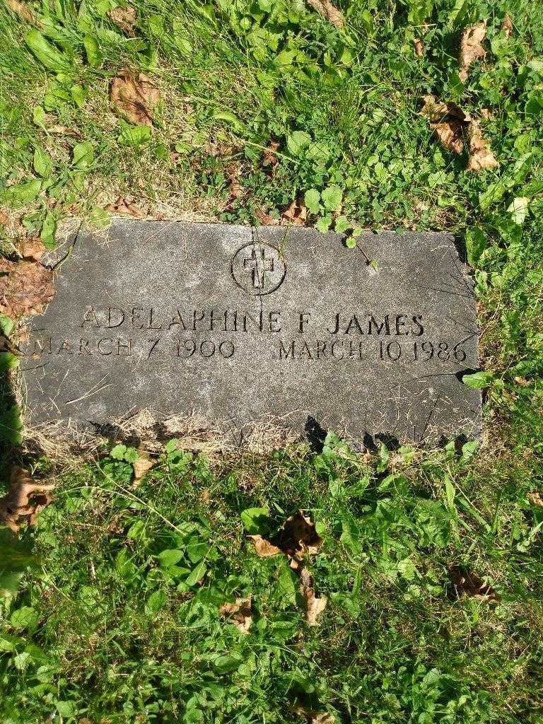 Adepaphine F. James's grave. Photo 2