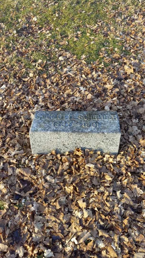 Charlotte Schreiber's grave. Photo 1