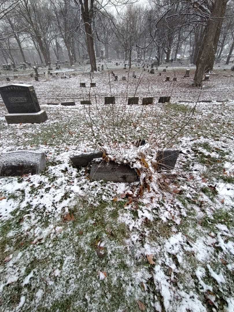 Robert F. "Bob" Perkins's grave. Photo 1