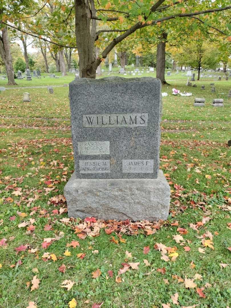 Frances J. Higgins's grave. Photo 2