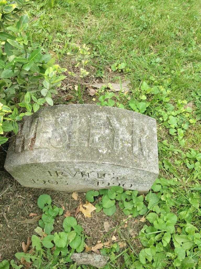 Wesley R. Irving's grave. Photo 3