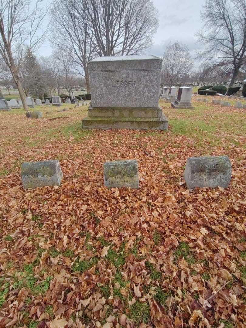Levia "Leah" Lesser's grave. Photo 1