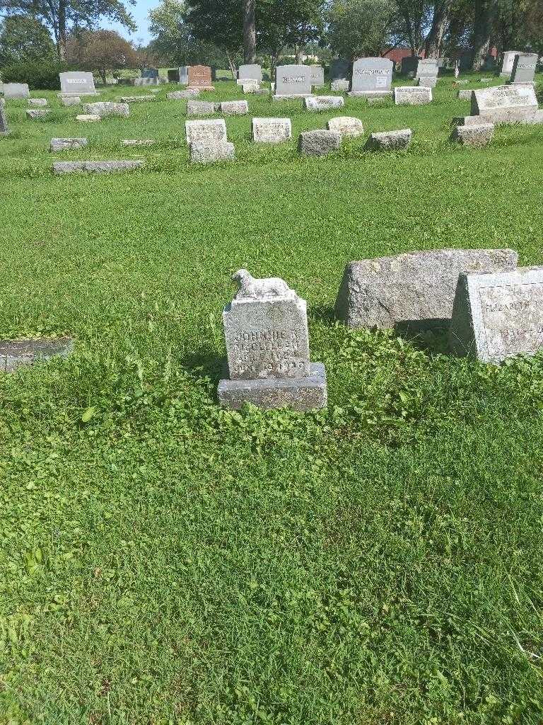 Johnnie R. McOlellan's grave. Photo 2
