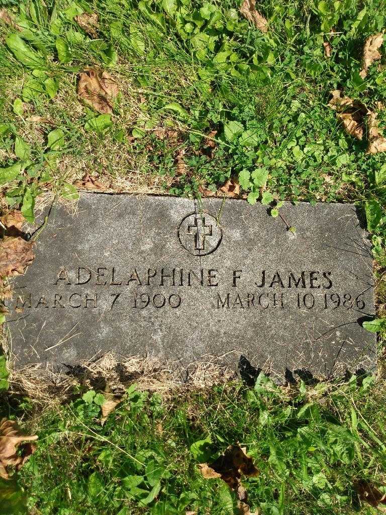 Adepaphine F. James's grave. Photo 3