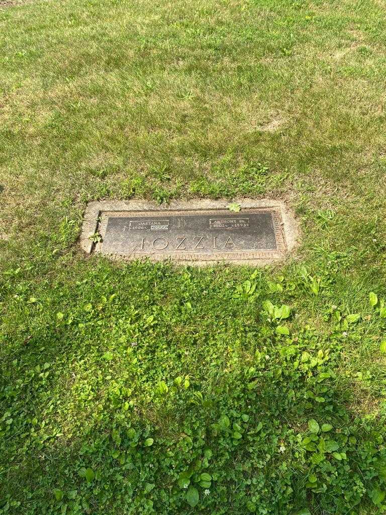 Anthony Iozzia Senior's grave. Photo 3