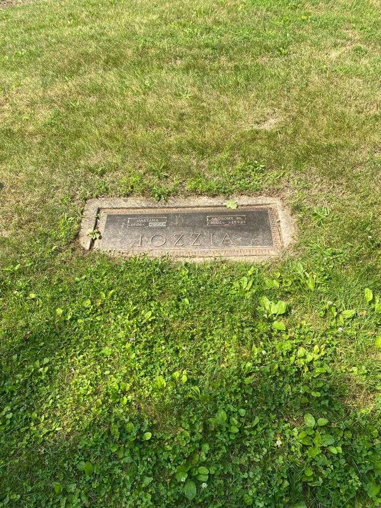 Gaetana Iozzia's grave. Photo 2