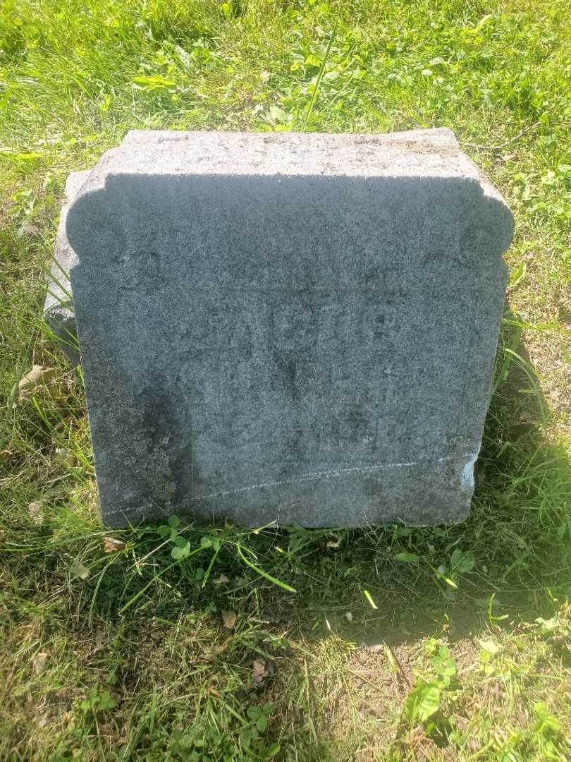 Jacob Shafer's grave. Photo 1