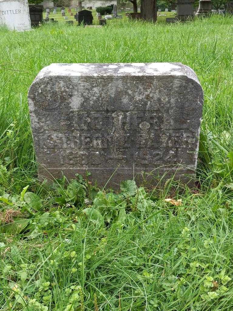 Katherine White's grave. Photo 3