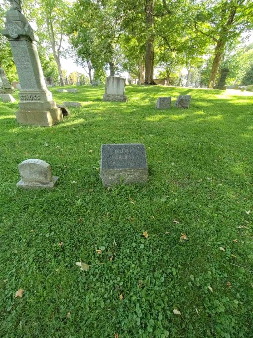 Willis E. Richardson's grave. Photo 1