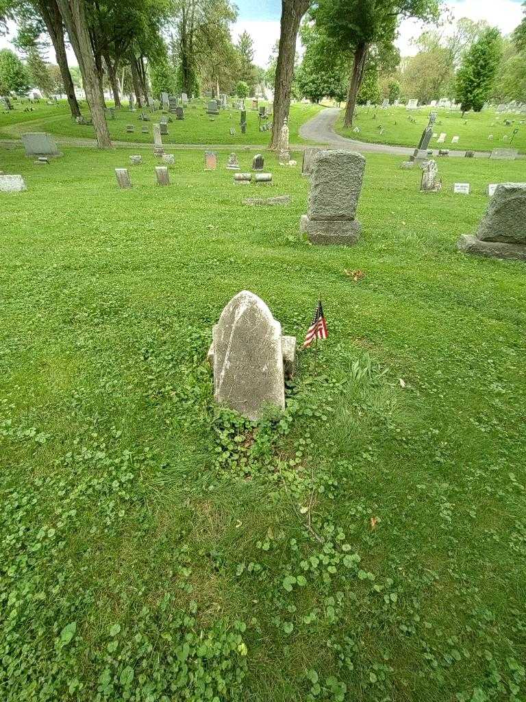 Henry W. Schneider's grave. Photo 1