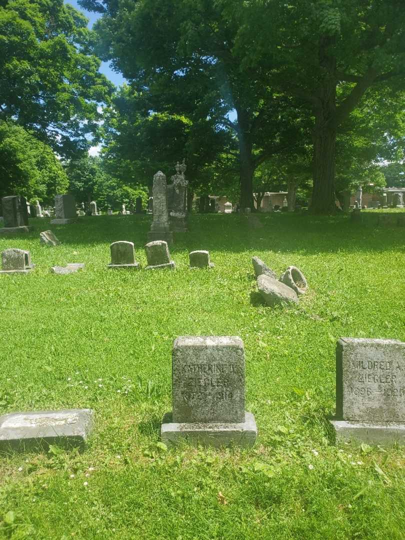 Katherine D. Ziegler's grave. Photo 2