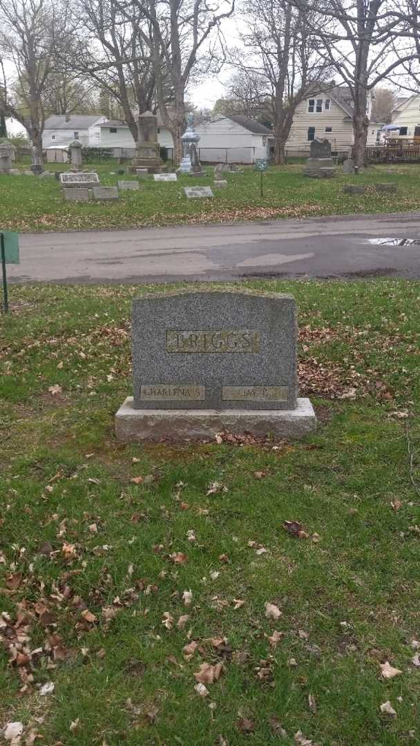 Jay G. Briggs's grave. Photo 2