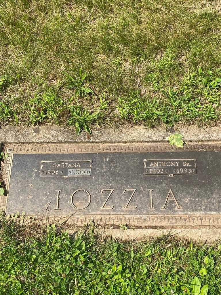Anthony Iozzia Senior's grave. Photo 1