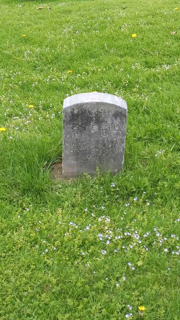 George Dello's grave. Photo 2