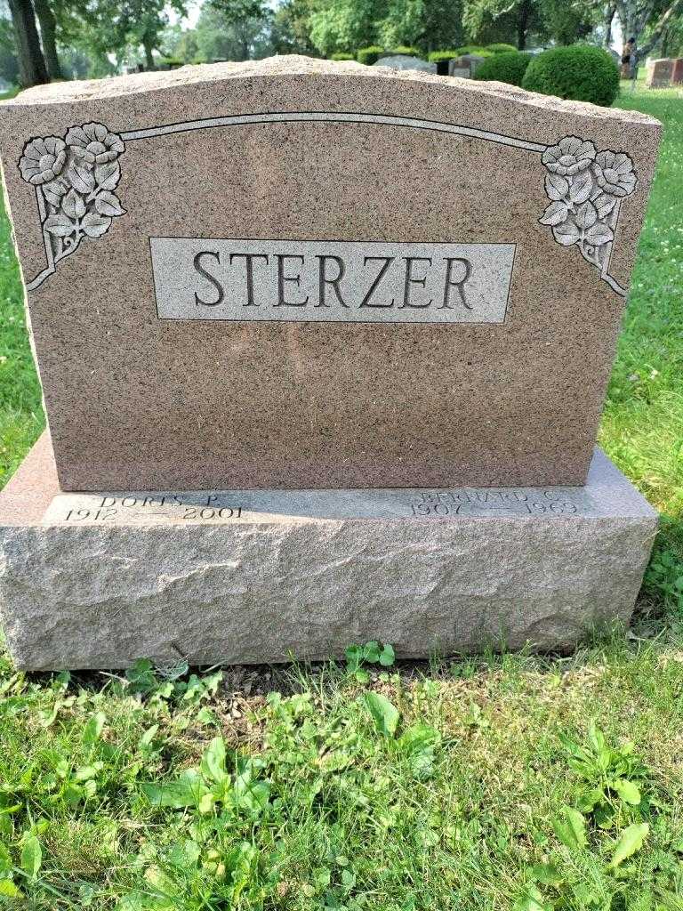 Bernard C. Sterzer's grave. Photo 2