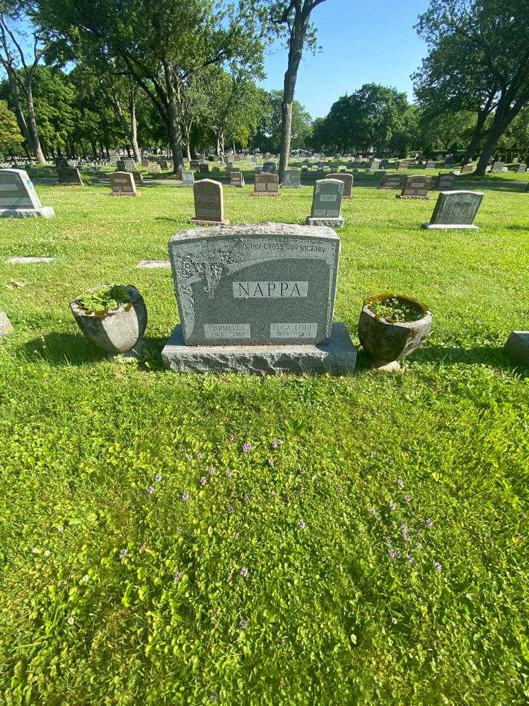Luca Louis Nappa's grave. Photo 1