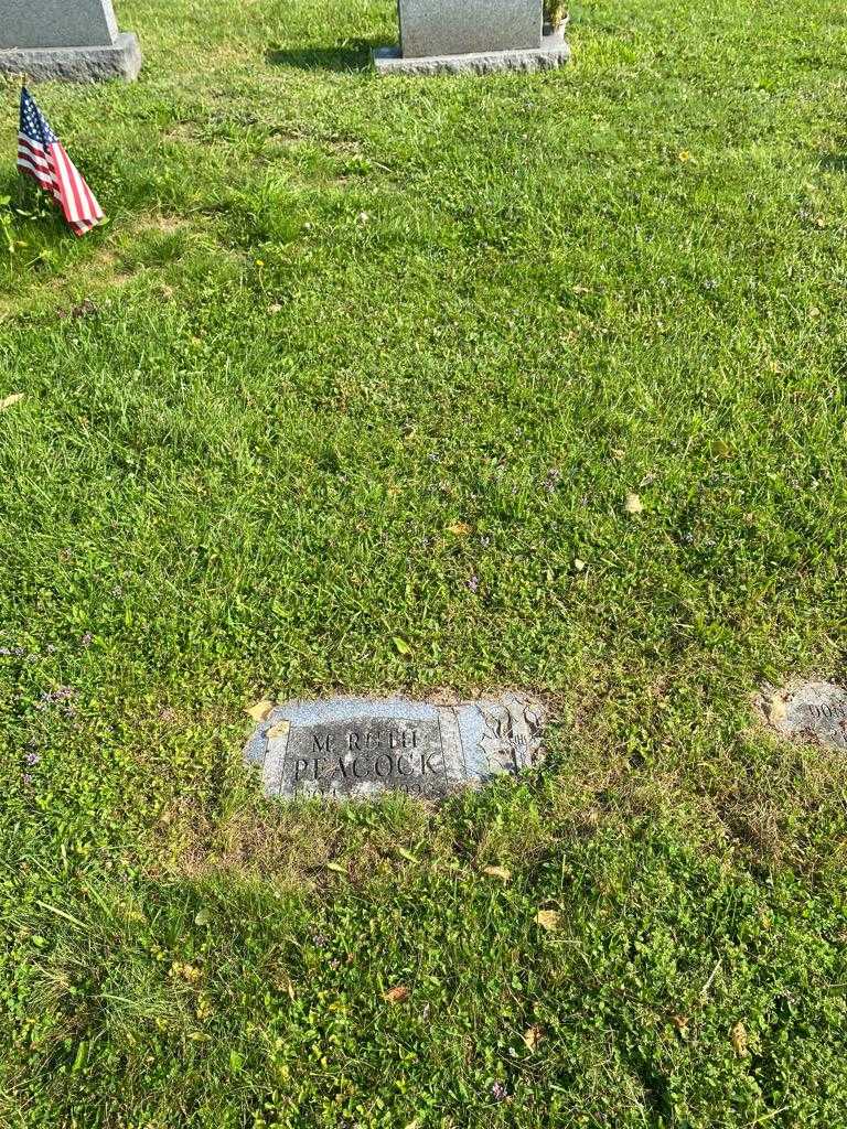 Mary Ruth Peacock's grave. Photo 2