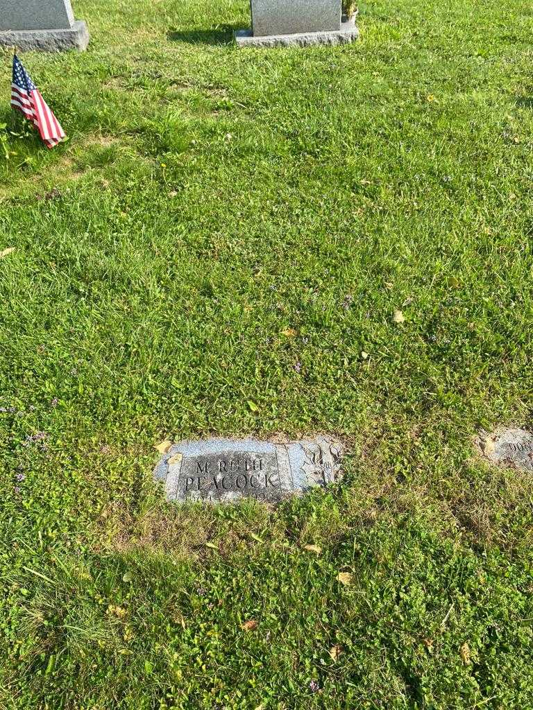 Mary Ruth Peacock's grave. Photo 2