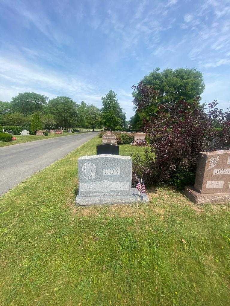 Donald G. Cox's grave. Photo 1