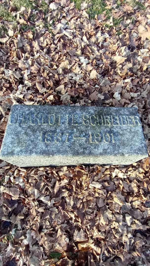 Charlotte Schreiber's grave. Photo 3