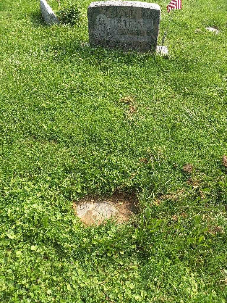 Louise M. Stein's grave. Photo 3